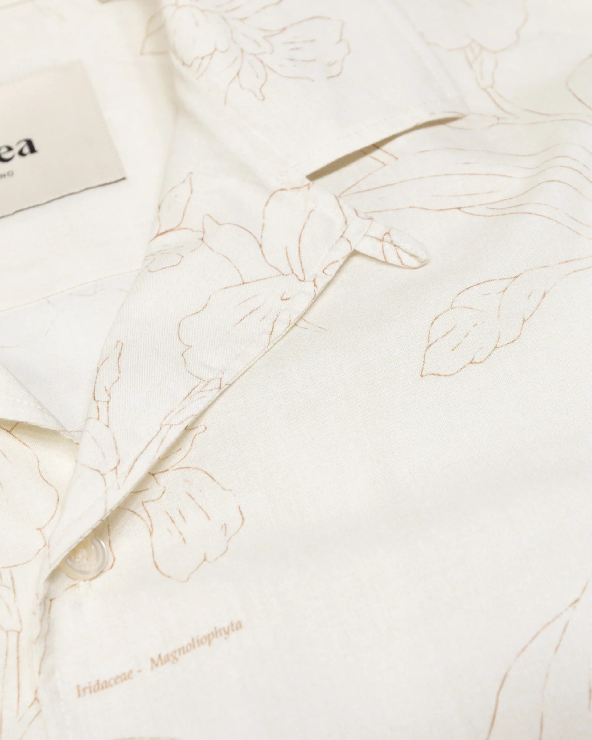 Camicia camp collar Bart in mussola, manica corta, vestibilità over - Beige - Image 4